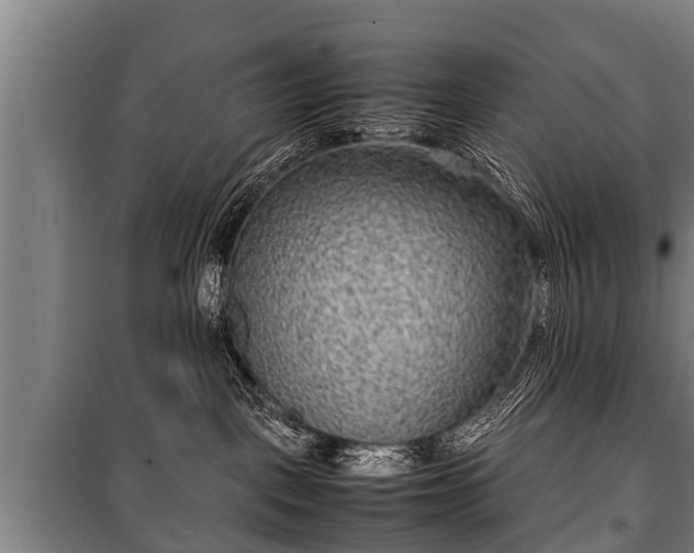 X0000100190093200806061309