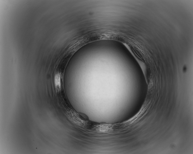 X0000100190094200806061309