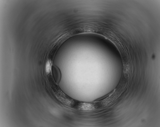 X0000100190095200806061309