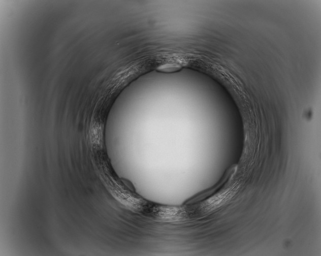 X0000100190096200806061309