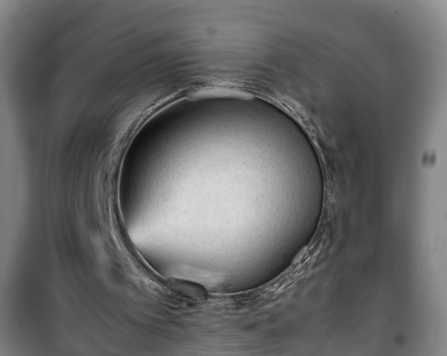 X0000100190097200806061308