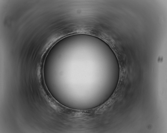 X0000100190098200806061308