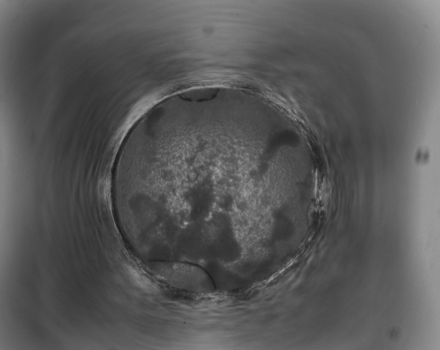 X0000100190099200806061308