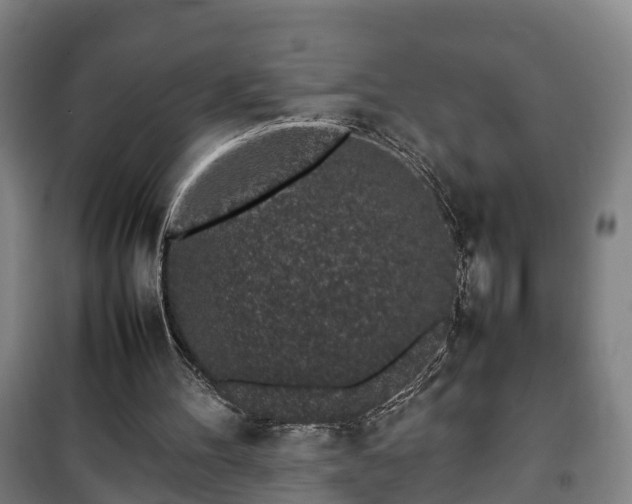 X0000100190100200806061308