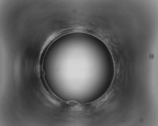 X0000100190102200806061308