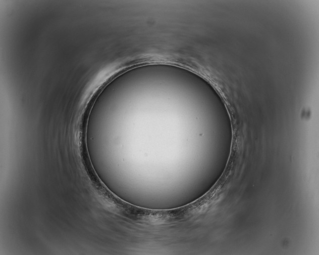 X0000100190103200806061308