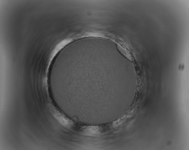 X0000100190104200806061308