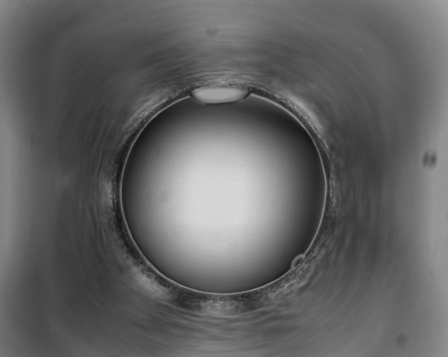 X0000100190105200806061308