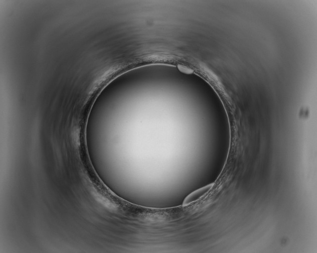 X0000100190106200806061308