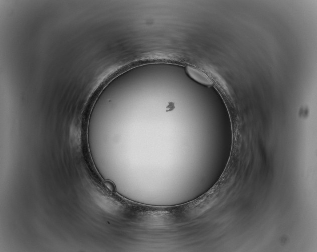 X0000100190108200806061308