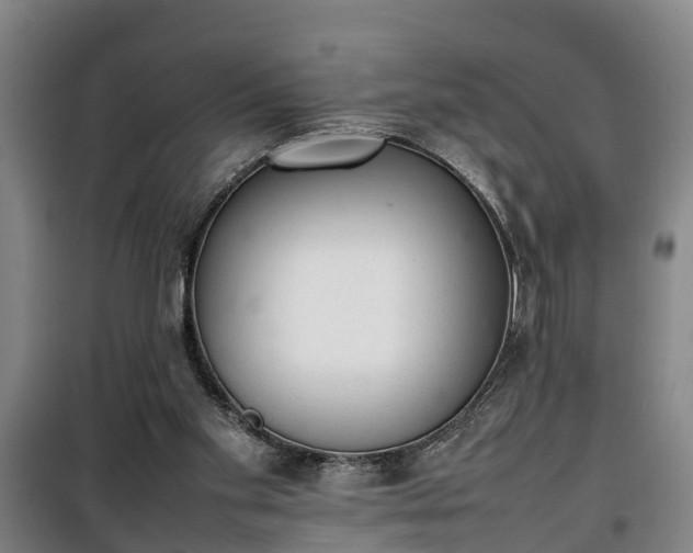 X0000100190109200806061308