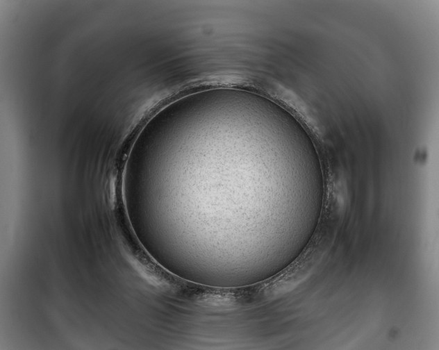 X0000100190110200806061308