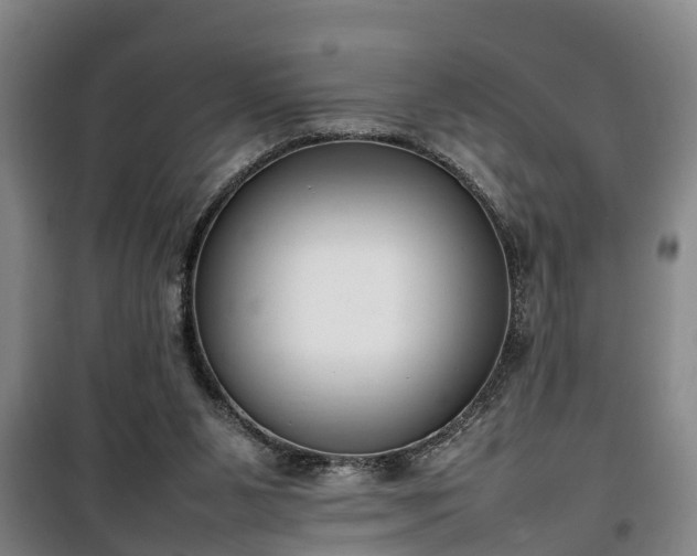 X0000100190111200806061308