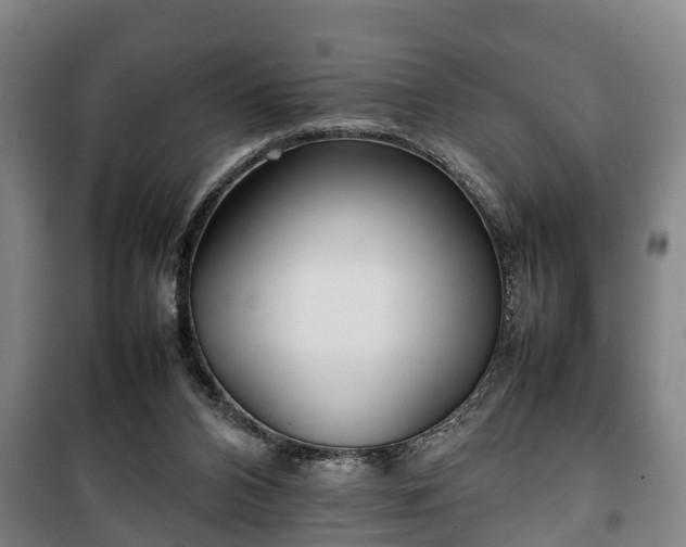 X0000100190112200806061308