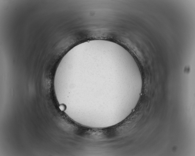 X0000100190113200806061308