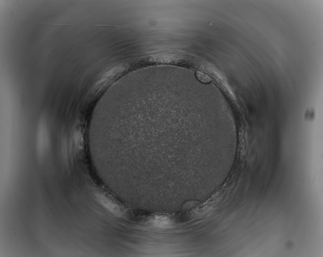 X0000100190114200806061308