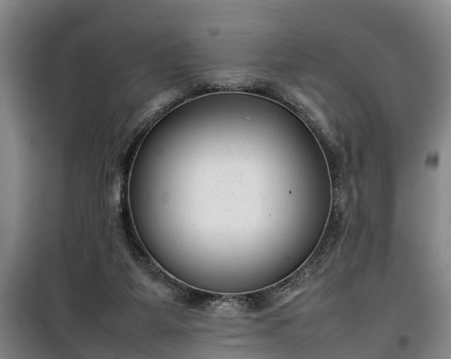 X0000100190115200806061308