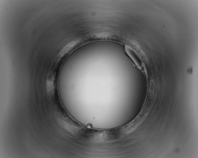 X0000100190116200806061308