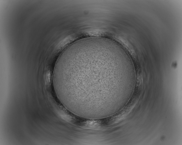 X0000100190117200806061308