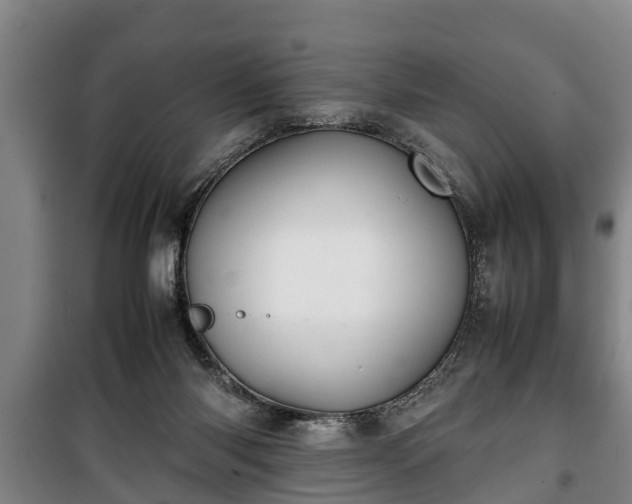 X0000100190118200806061308