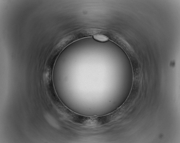 X0000100190119200806061308