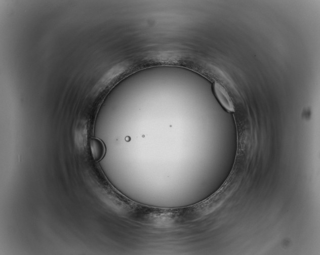 X0000100190120200806061308