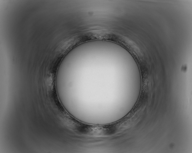 X0000100190121200806061308