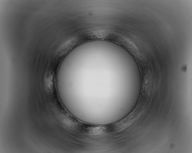 X0000100190122200806061308