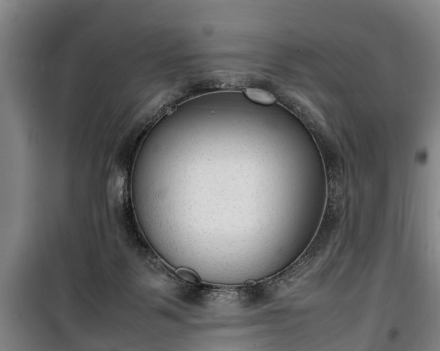 X0000100190123200806061308