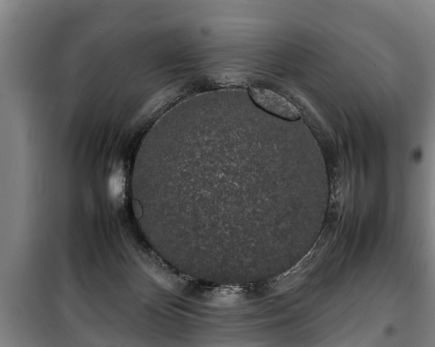 X0000100190124200806061308