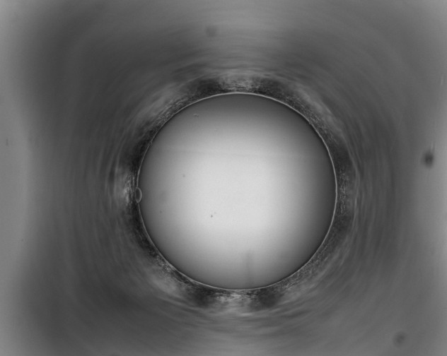 X0000100190125200806061308