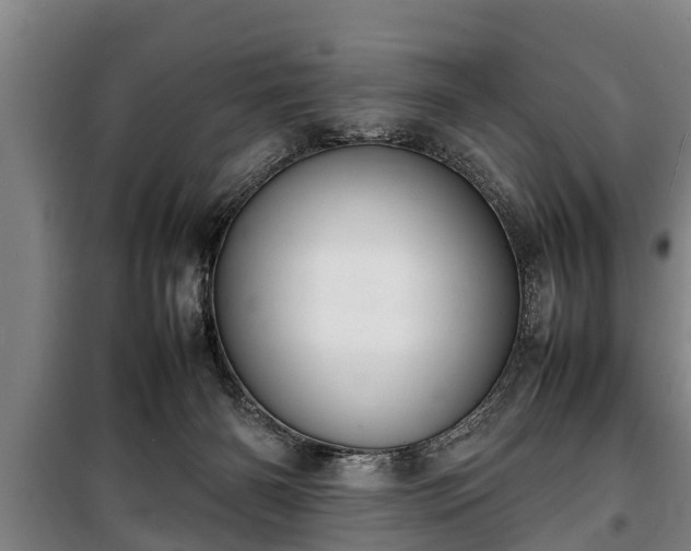 X0000100190126200806061308