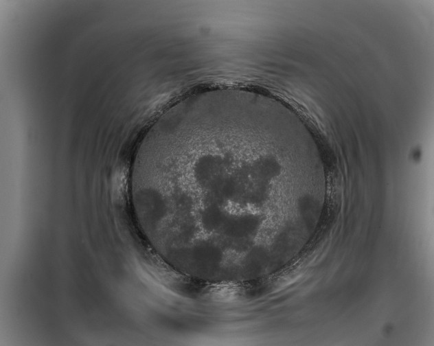 X0000100190127200806061308