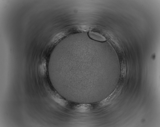 X0000100190128200806061308