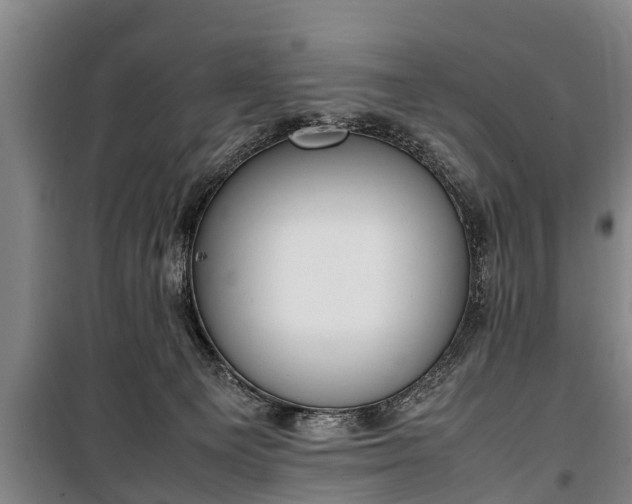 X0000100190129200806061308