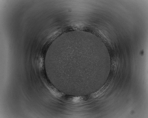 X0000100190130200806061308