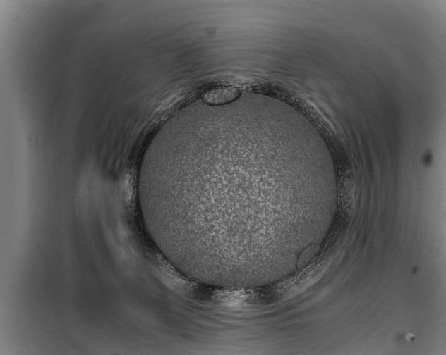 X0000100190131200806061308