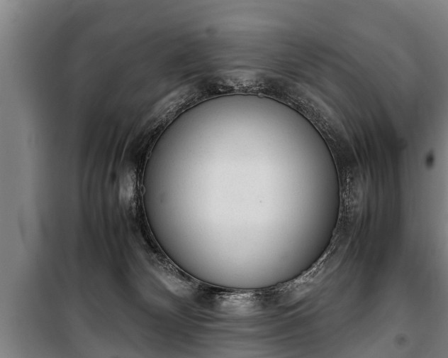 X0000100190132200806061308