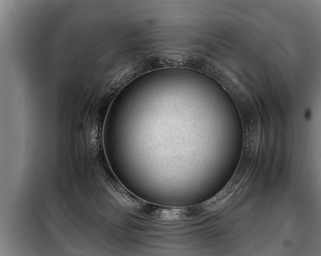 X0000100190134200806061308