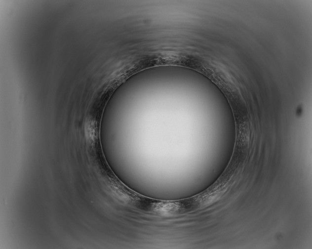 X0000100190135200806061308