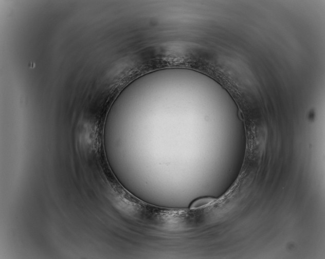 X0000100190136200806061307