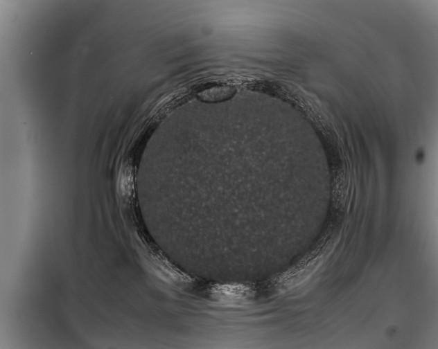 X0000100190137200806061307