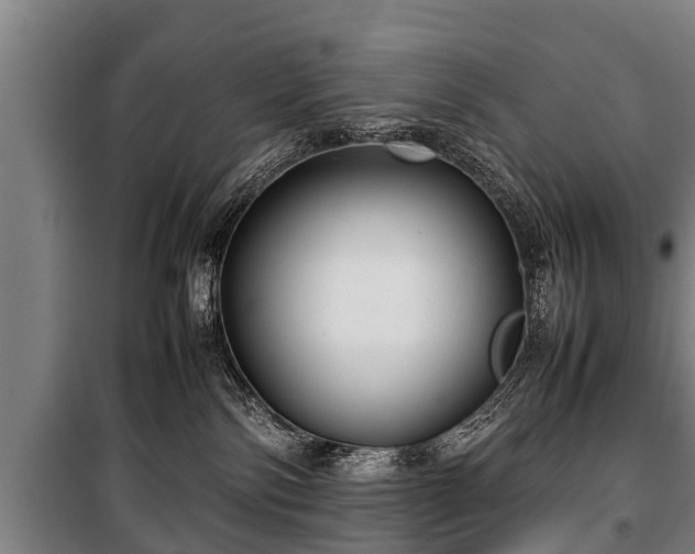 X0000100190138200806061307