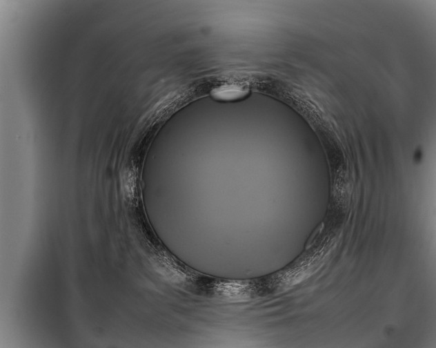 X0000100190139200806061307