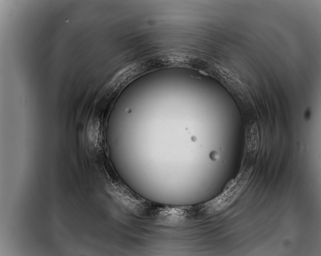 X0000100190140200806061307