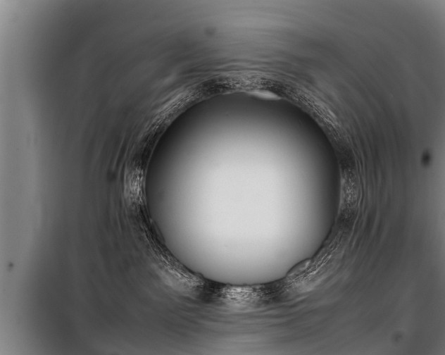 X0000100190141200806061307