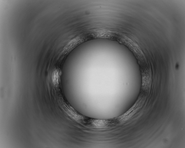 X0000100190142200806061307