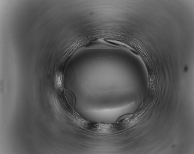 X0000100190143200806061307