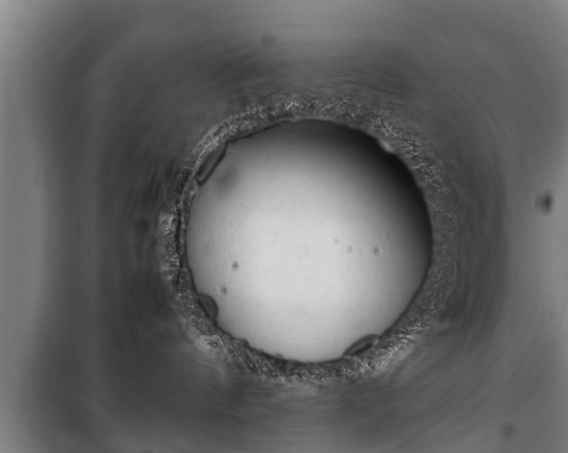 X0000100190144200806061307