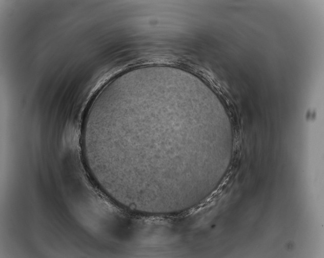 X0000100190146200806061306